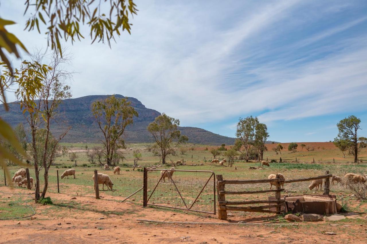 Hotel Rawnsley Park Station Flinders Ranges Esterno foto